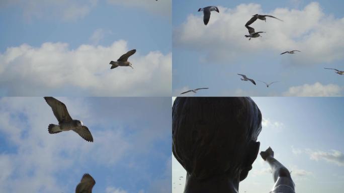 蓝天白云海鸥升格雕像