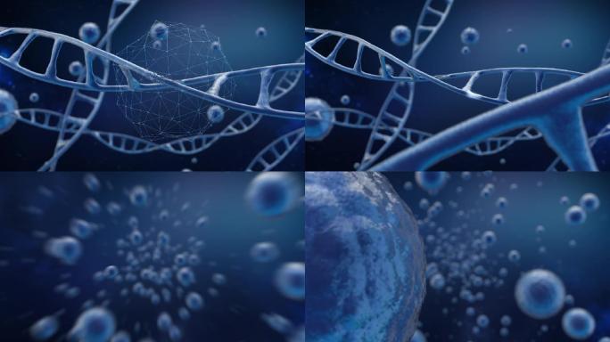 DNA修复/蓝色细胞宇宙穿梭/4K视频