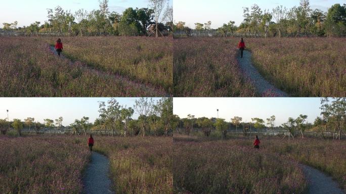 4K原素材-航拍鲜花丛林中的红衣少女