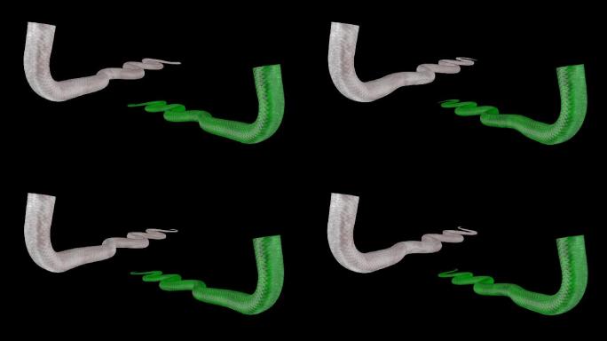 青蛇和白蛇的尾巴