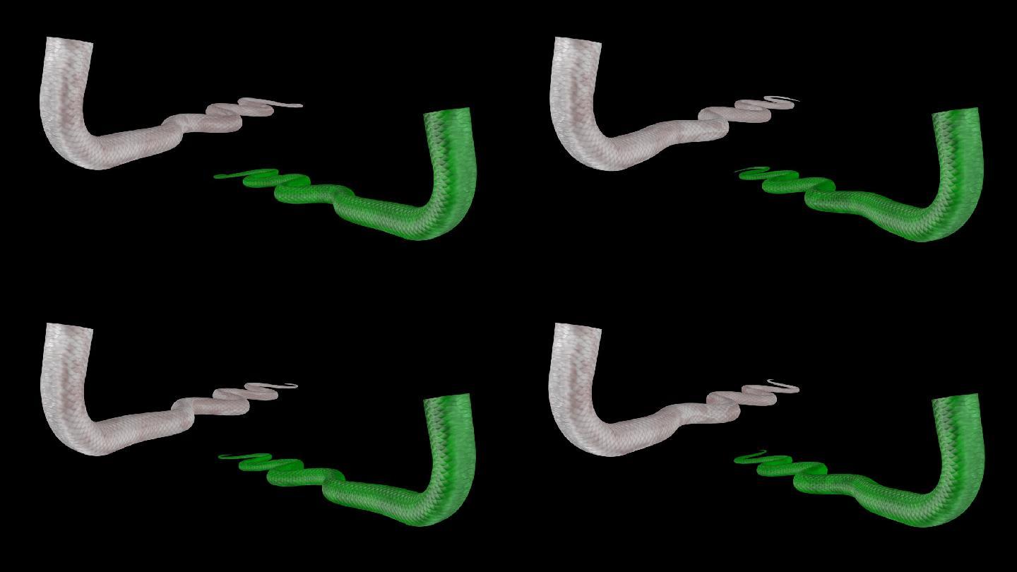青蛇和白蛇的尾巴