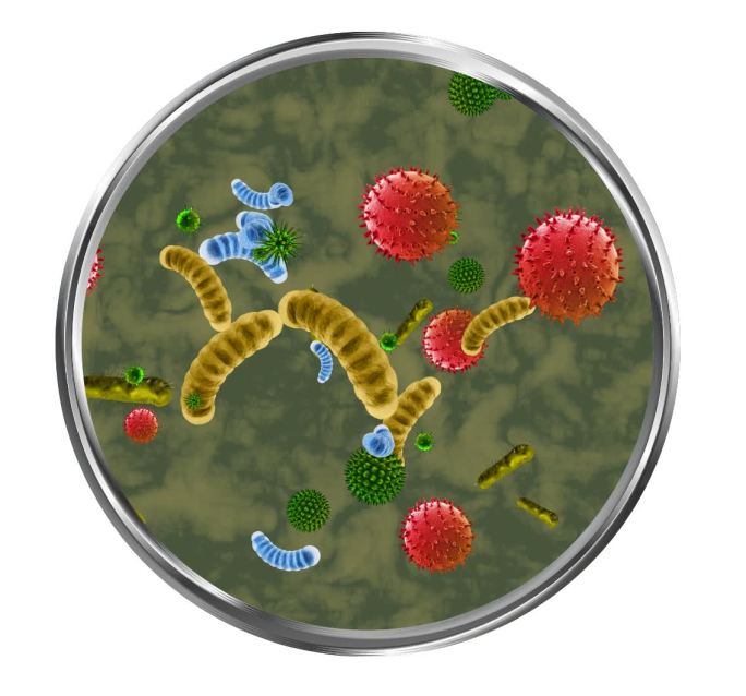 细菌病毒病菌微生物显微镜微观