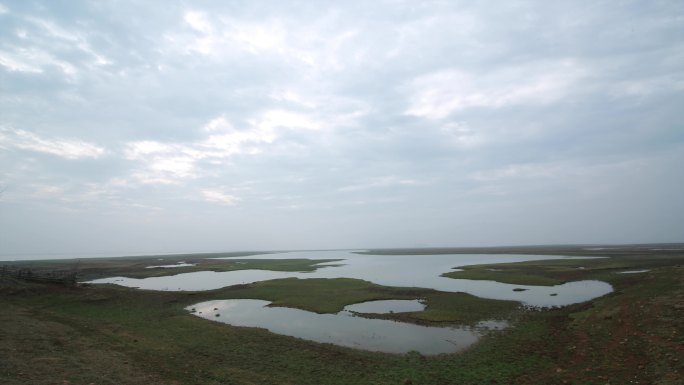 湿地野花水面草甸日出延时摄影合集