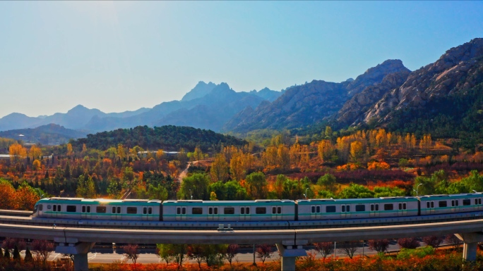 航拍秋天地铁 列车穿过漫山遍野的红叶