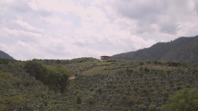 攀枝花芒果基地延时摄影