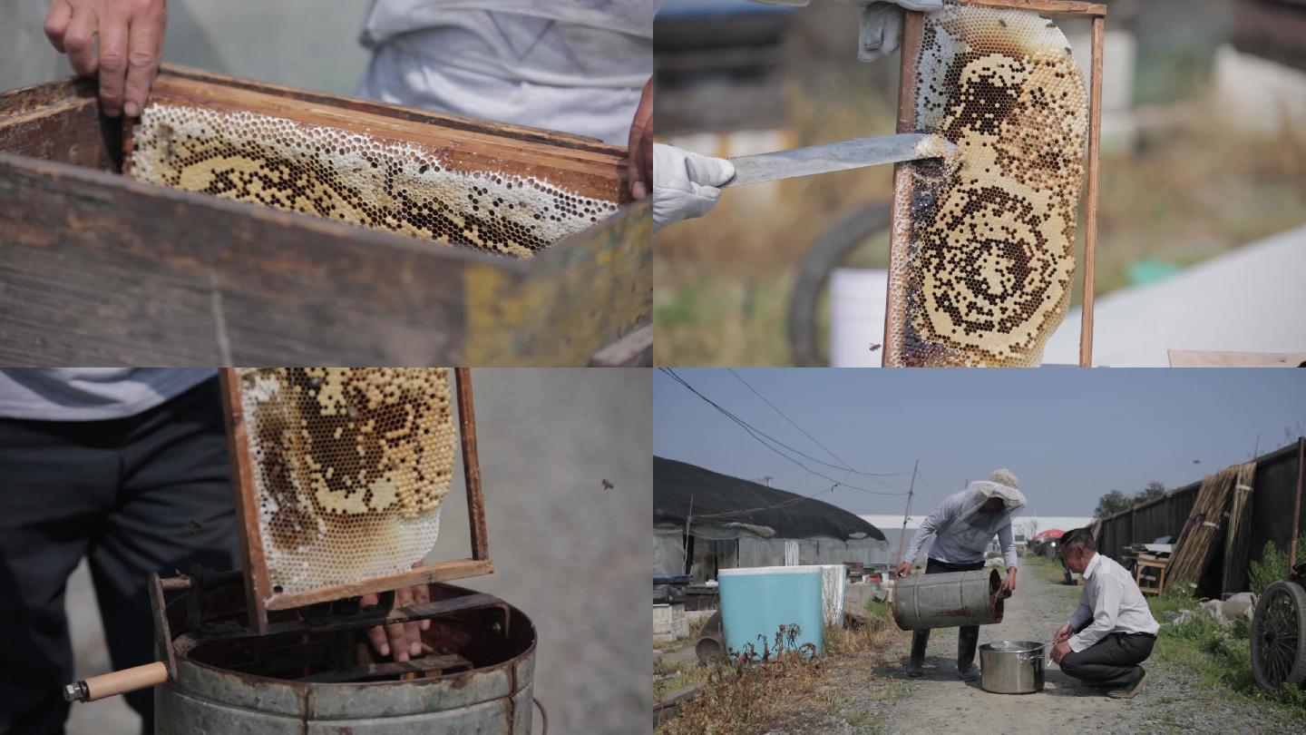蜂农-蜂蜜-蜂箱