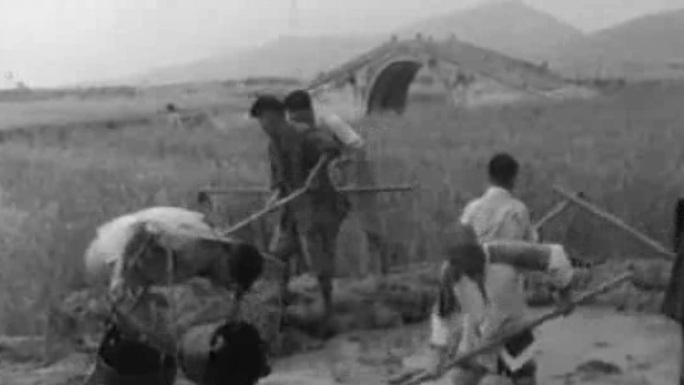 1960年农村农民种地劳动60年代