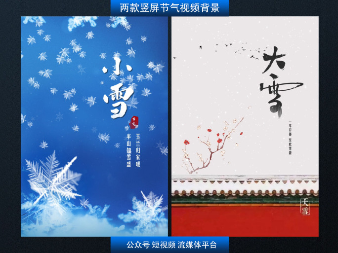 小雪大雪节气竖屏短视频背景