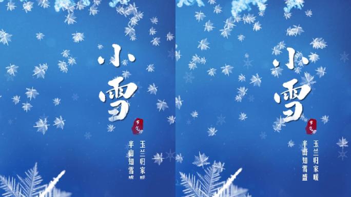 小雪大雪节气竖屏短视频背景