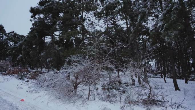 东北冰雪天气狂风暴雪