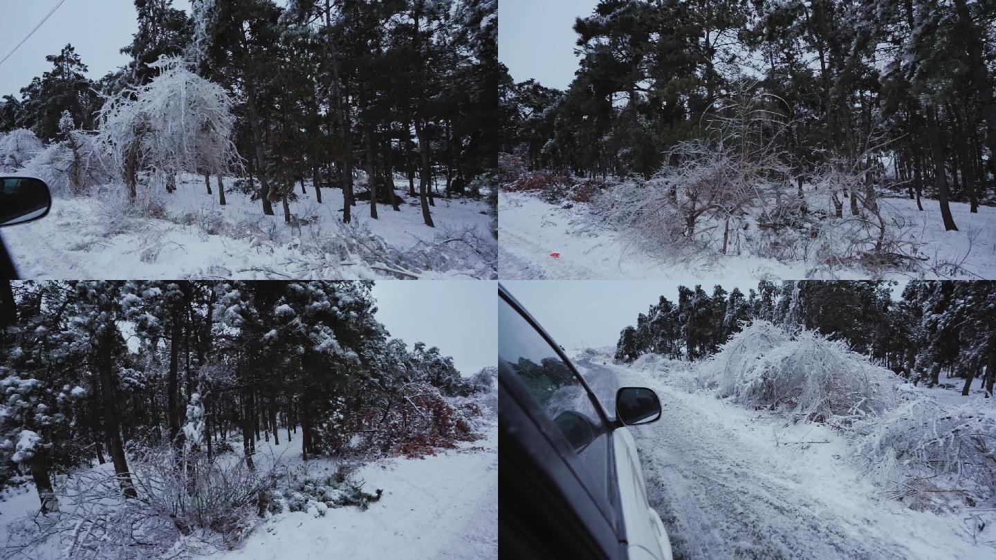 东北冰雪天气狂风暴雪