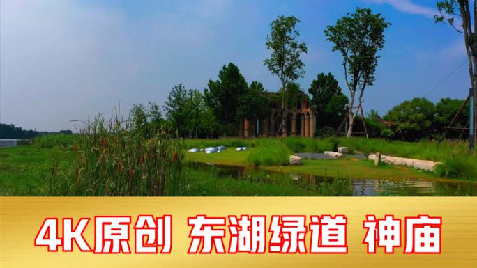 【武汉湿地30组镜头】东湖绿道万国公园
