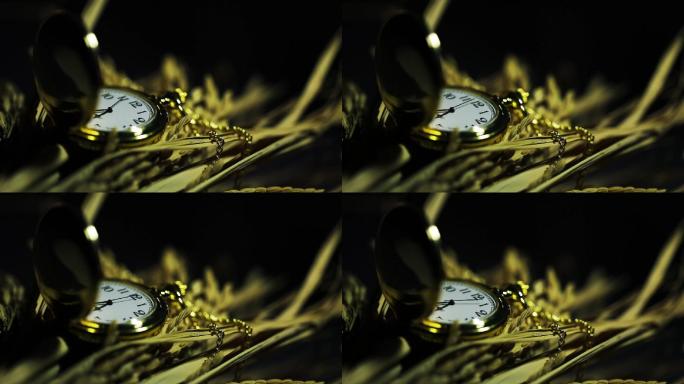 水稻和金色怀表