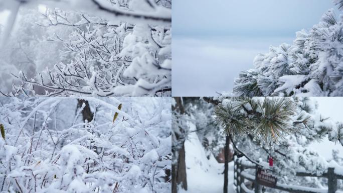 4K雾凇雪景老君山