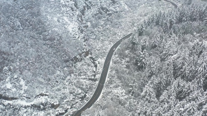 4K榆中县航拍兴隆山雪景森林雪景大自然