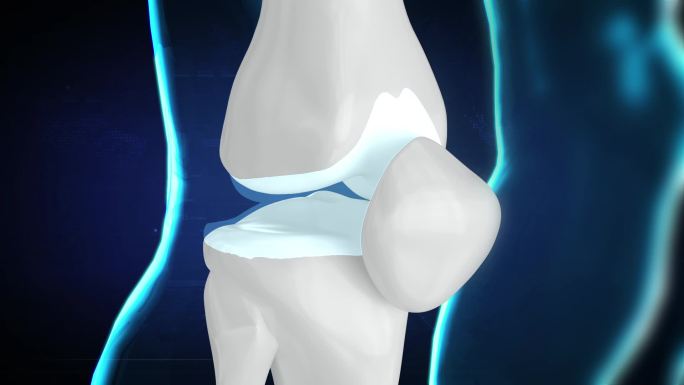 修复软骨关节炎骨骼再生