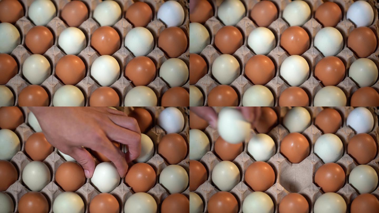 挑选鸡蛋实拍素材
