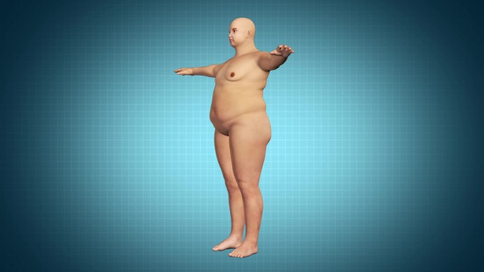 人体变肥胖
