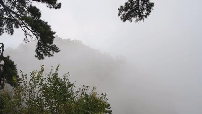 云山雾绕、云雾、雾气、意境、中国风