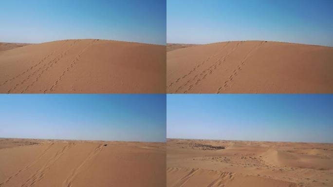 沙漠沙丘沙漠化