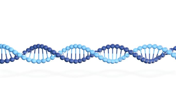 DNA基因链