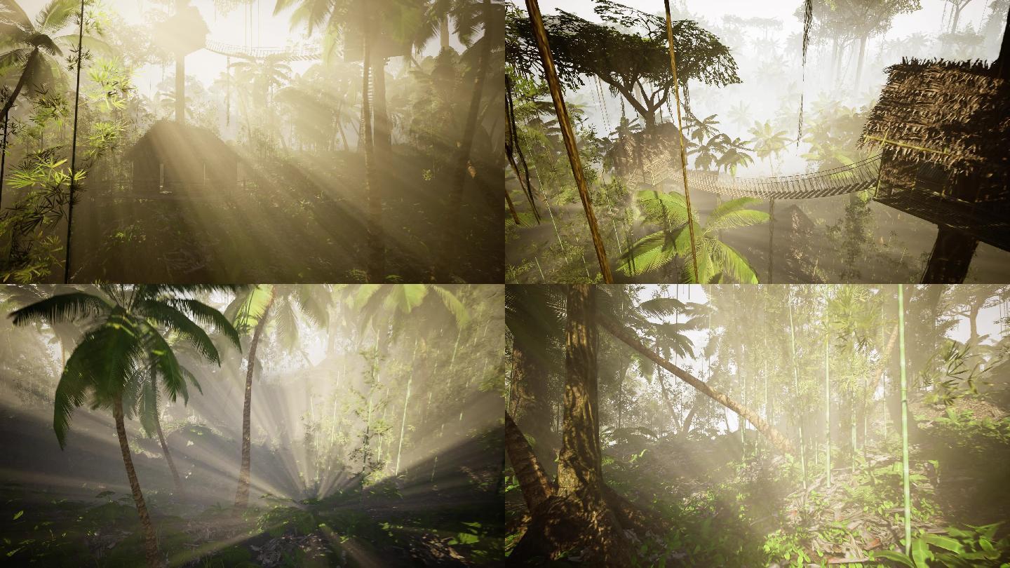 4K清晨热带雨林