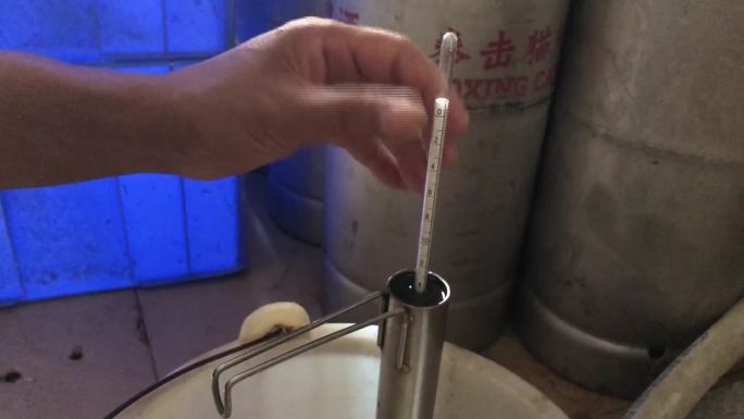 实拍高清酿酒啤酒酒花视频