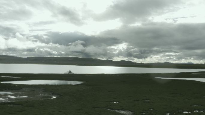 航拍西藏草原湖泊牛群