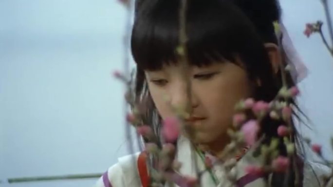 70年代日本民族传统文化