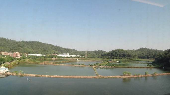 高铁火车广州到深圳窗外风景