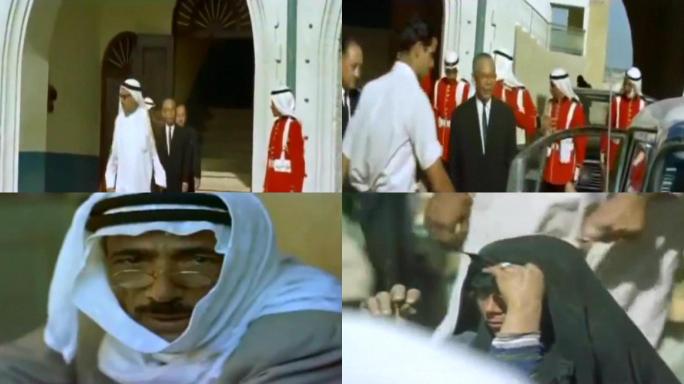 和平共处五项原则大使出访访问科威特元首