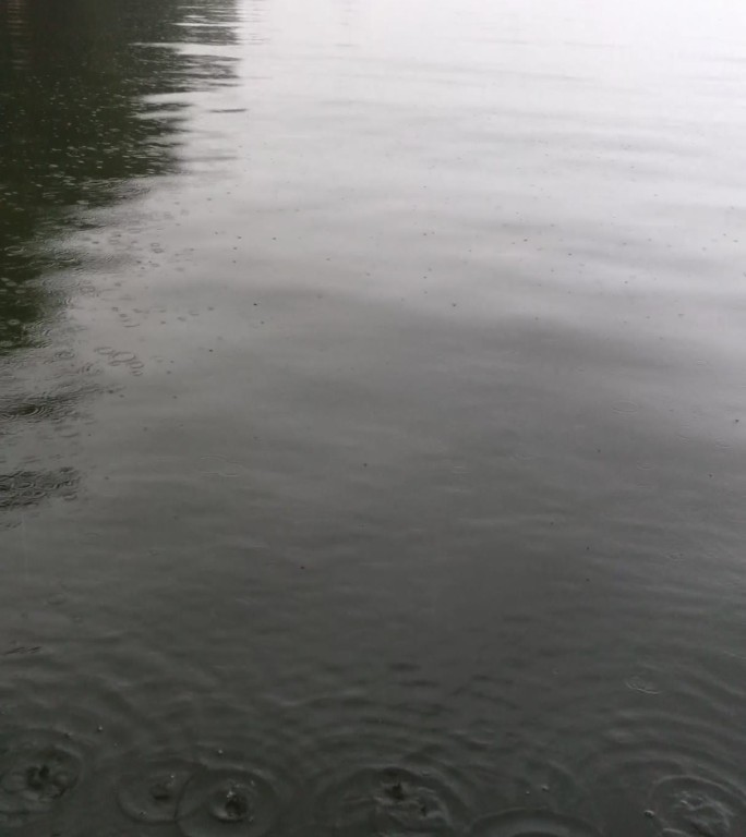 浙江杭州西湖旅游景区下雨场景