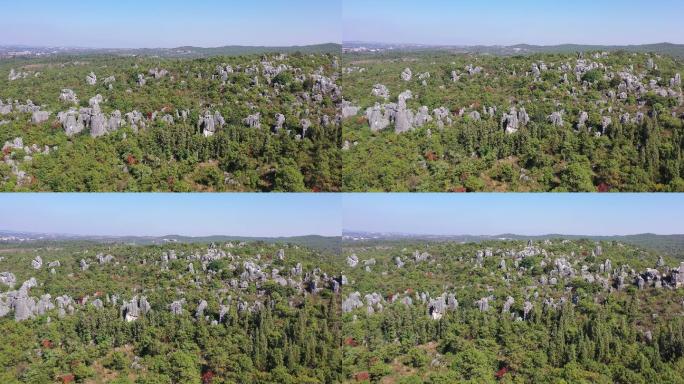 云南石林景区航拍4K视频