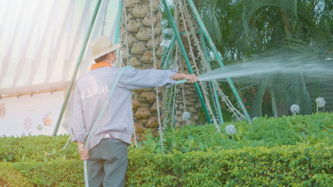 【原创】阳光下园丁给花圃洒水视频