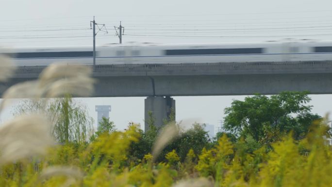 4K京沪高铁金黄田野