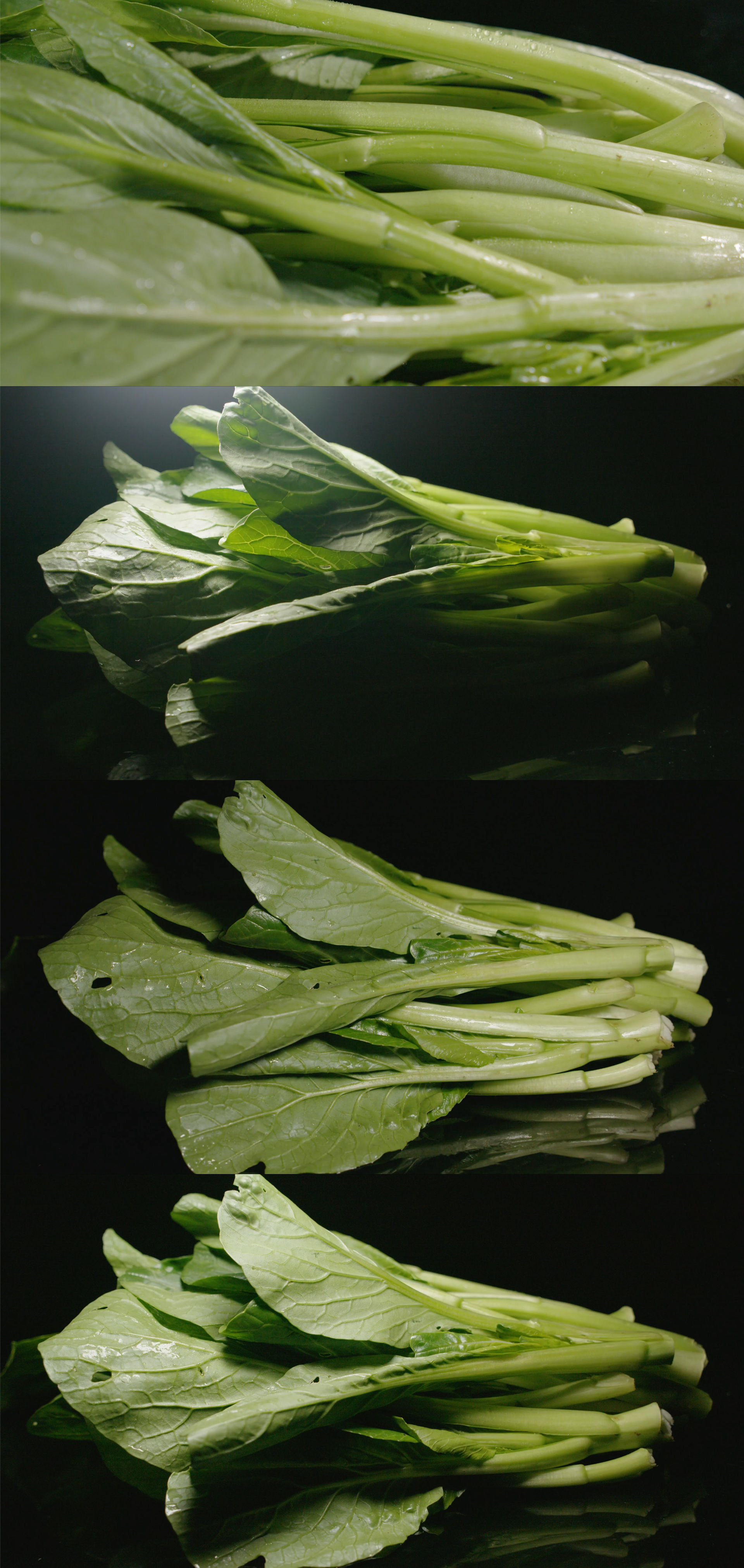 菜心4k蔬菜青菜菜苔