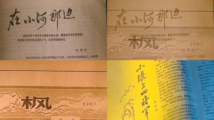 书 小说 老书刊 旧书 80年代