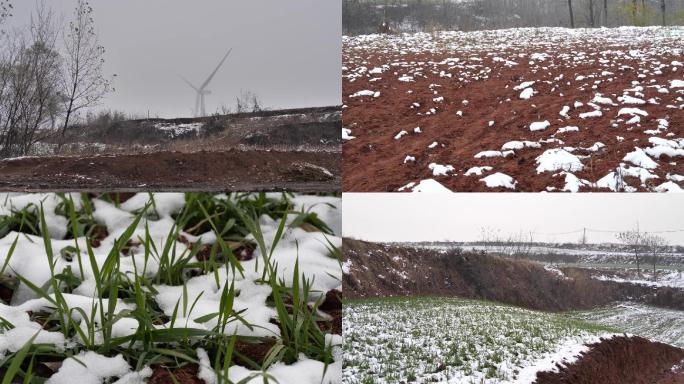 雪后乡村野外麦田和风力发电