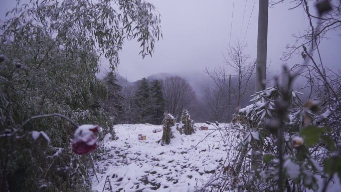 雪后的空地