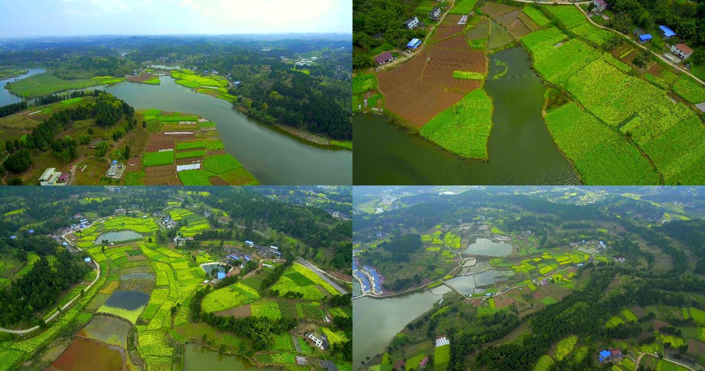 四川乐至县田园风光景色春暖花开4k