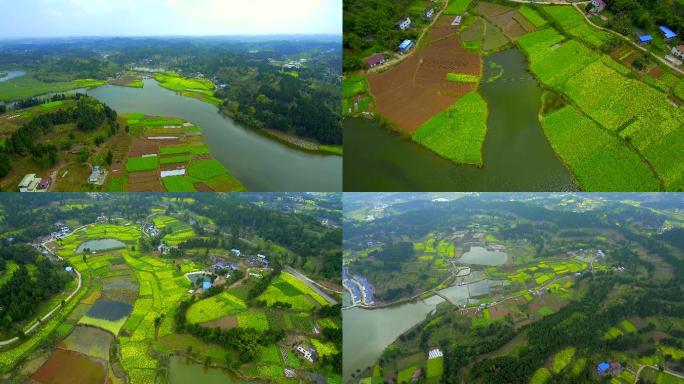 四川乐至县田园风光景色春暖花开4k