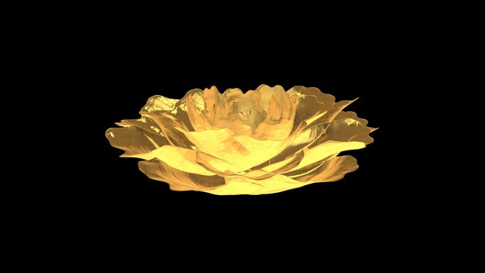 金色的牡丹-无缝循环带透明通道