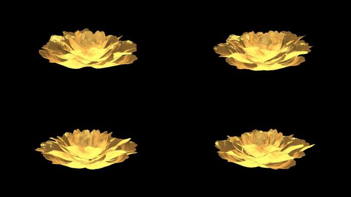 金色的牡丹-无缝循环带透明通道