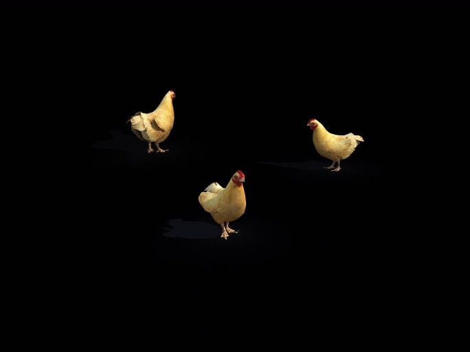 三维母鸡吃东西带通道循环动画