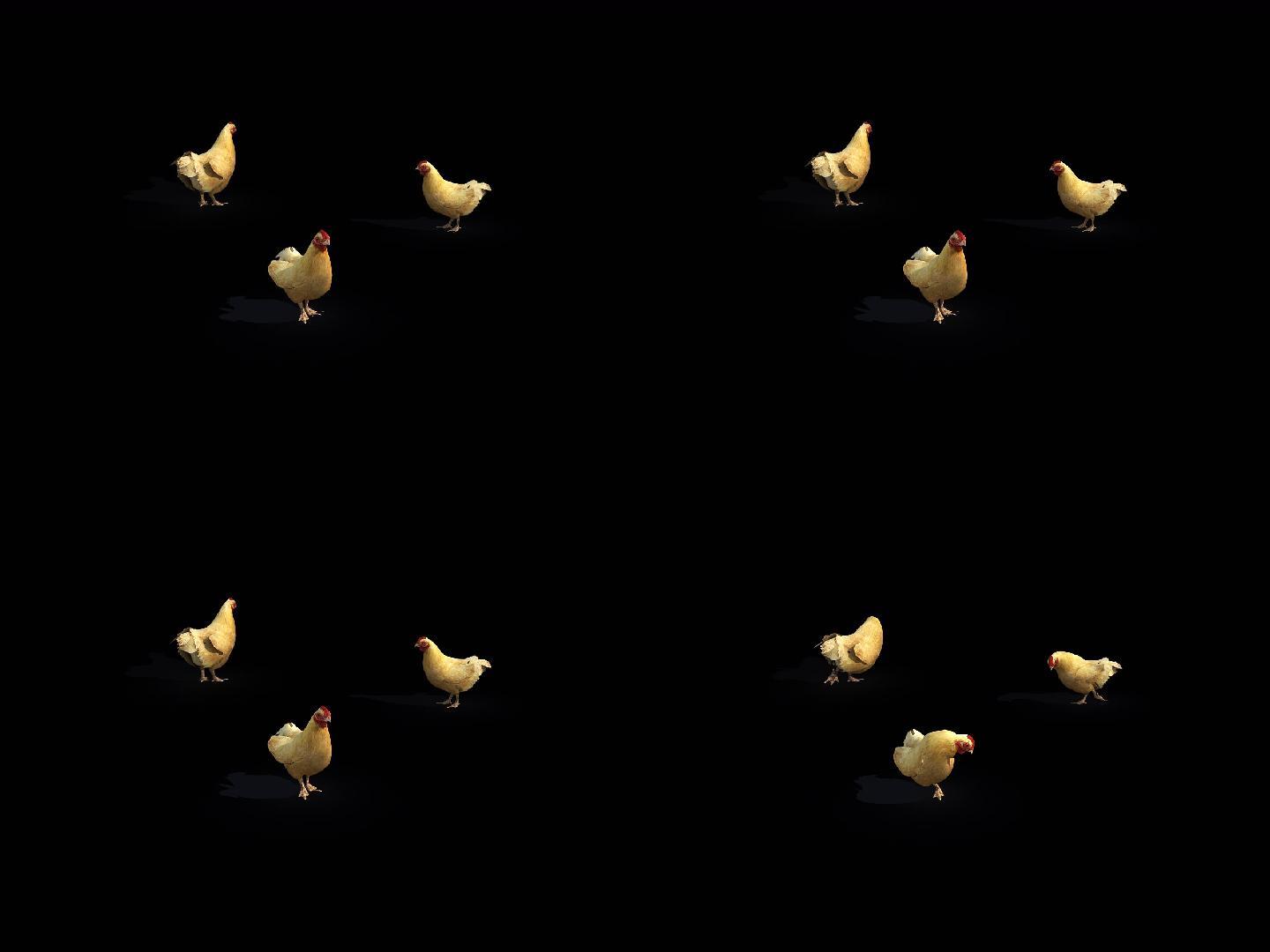 三维母鸡吃东西带通道循环动画
