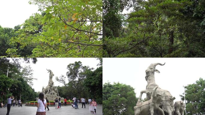 4K广州越秀公园五羊雕塑