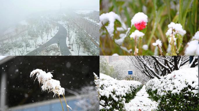 城市公园雪景2k原素材