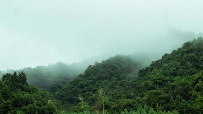 4k高清山间树林雾气壮观风景