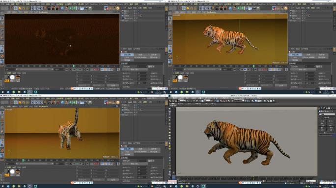 C4D+3dsmax+fbx模型--老虎