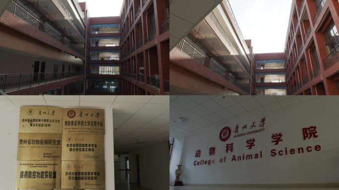 大学空镜航拍贵州大学